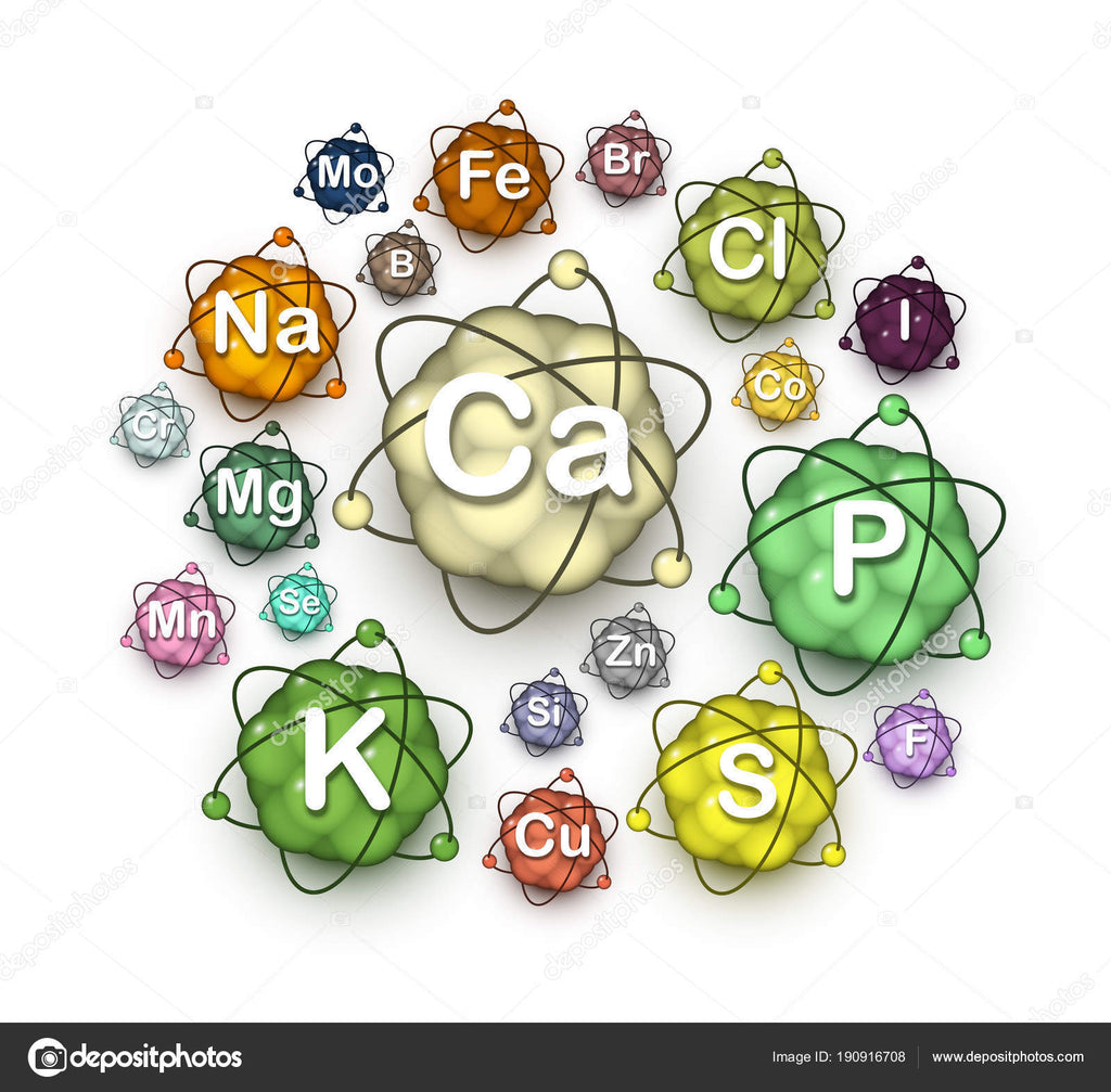 Essential Minerals and Trace Elements: Their Vital Role in Human Health